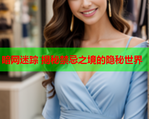 暗网迷踪 揭秘禁忌之境的隐秘世界