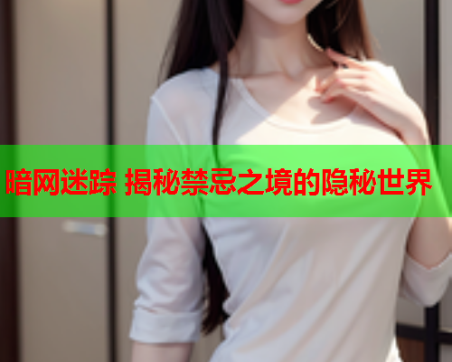 暗网迷踪 揭秘禁忌之境的隐秘世界