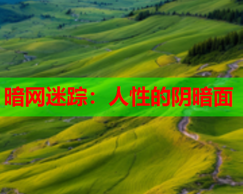 暗网迷踪：人性的阴暗面