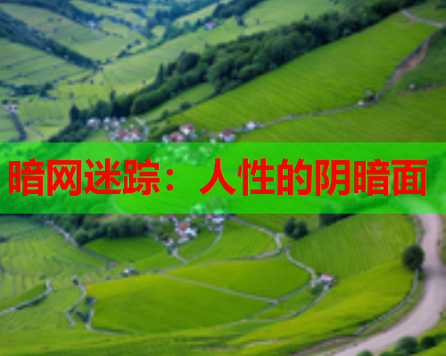 暗网迷踪：人性的阴暗面