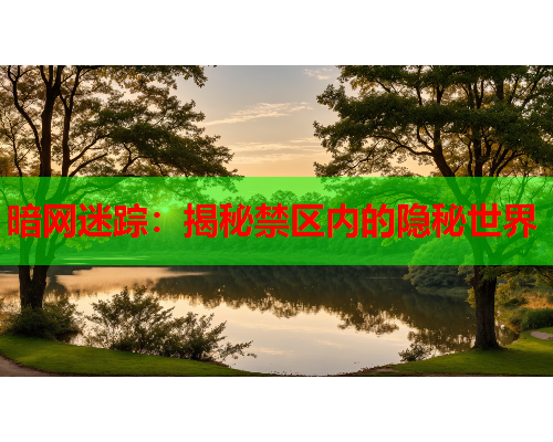 暗网迷踪：揭秘禁区内的隐秘世界