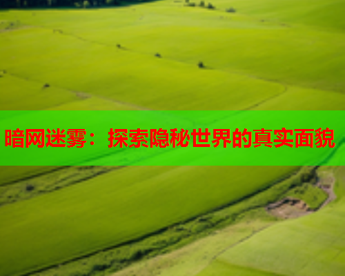 暗网迷雾：探索隐秘世界的真实面貌