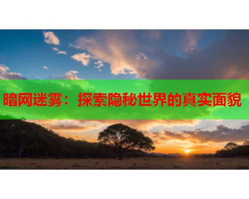 暗网迷雾：探索隐秘世界的真实面貌