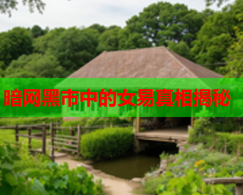 暗网黑市中的女易真相揭秘