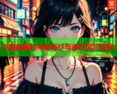 中国暗网的神秘面纱与潜在风险探秘