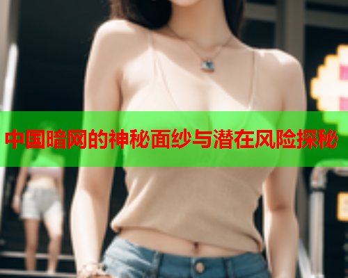 中国暗网的神秘面纱与潜在风险探秘