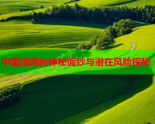 中国暗网的神秘面纱与潜在风险探秘
