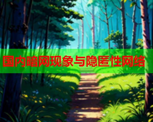 国内暗网现象与隐匿性网络