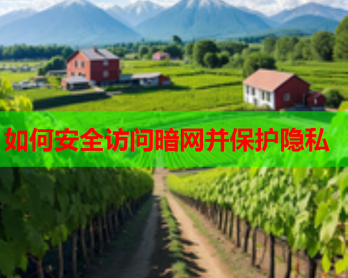 如何安全访问暗网并保护隐私