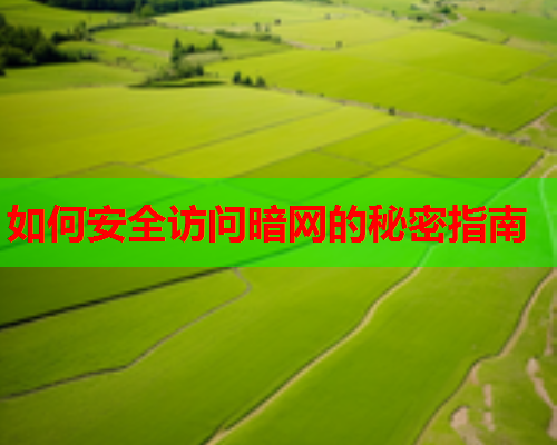 如何安全访问暗网的秘密指南