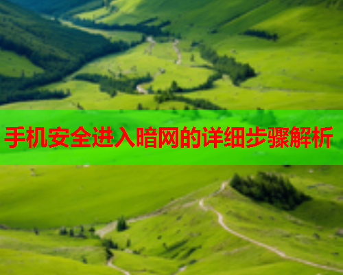 手机安全进入暗网的详细步骤解析