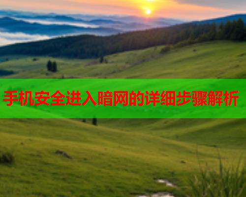 手机安全进入暗网的详细步骤解析