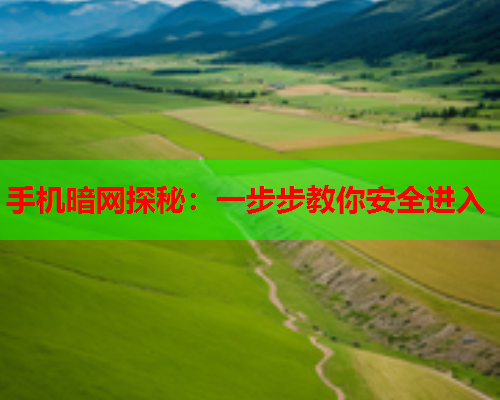 手机暗网探秘：一步步教你安全进入