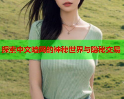 探索中文暗网的神秘世界与隐秘交易