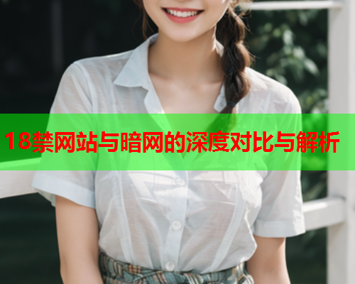 18禁网站与暗网的深度对比与解析