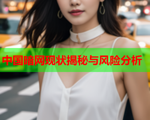 中国暗网现状揭秘与风险分析