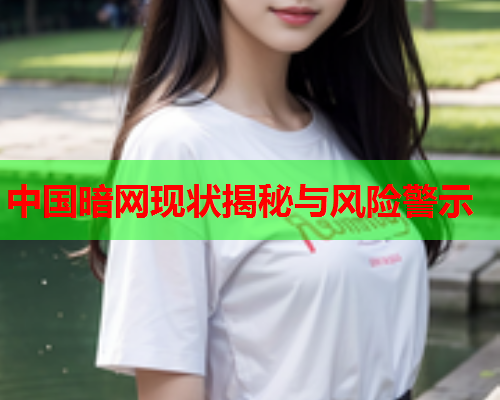 中国暗网现状揭秘与风险警示