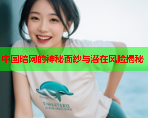 中国暗网的神秘面纱与潜在风险揭秘