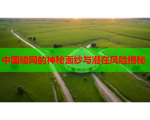 中国暗网的神秘面纱与潜在风险揭秘