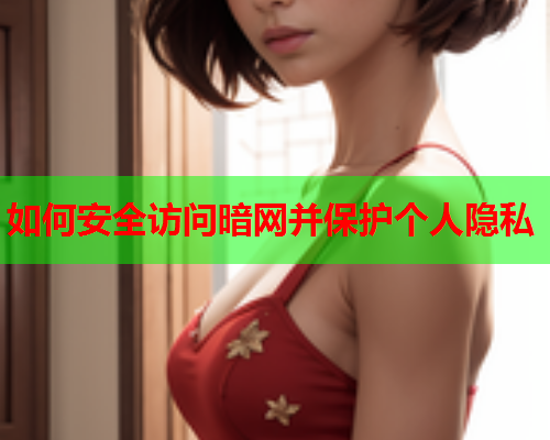 如何安全访问暗网并保护个人隐私