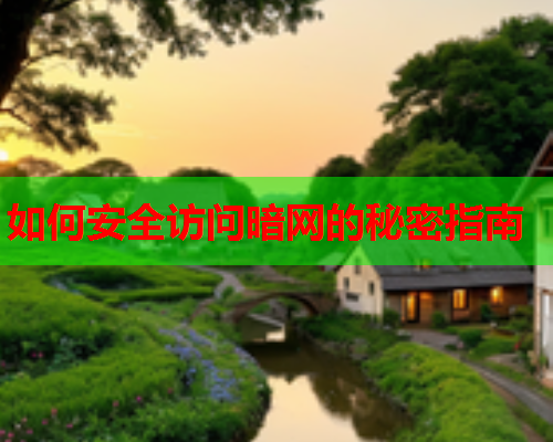 如何安全访问暗网的秘密指南