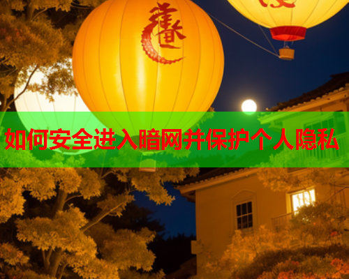 如何安全进入暗网并保护个人隐私
