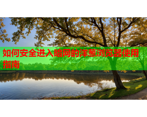 如何安全进入暗网的洋葱浏览器使用指南