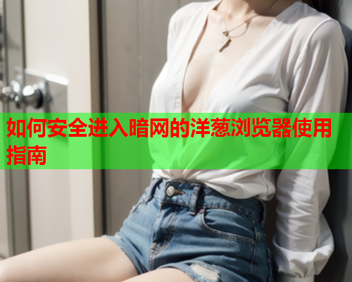 如何安全进入暗网的洋葱浏览器使用指南