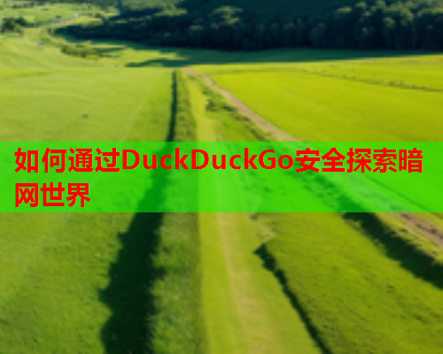 如何通过DuckDuckGo安全探索暗网世界