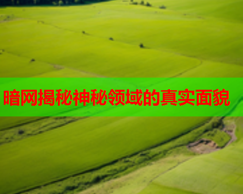 暗网揭秘神秘领域的真实面貌