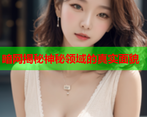 暗网揭秘神秘领域的真实面貌