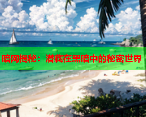 暗网揭秘：潜藏在黑暗中的秘密世界