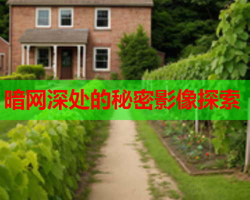 暗网深处的秘密影像探索