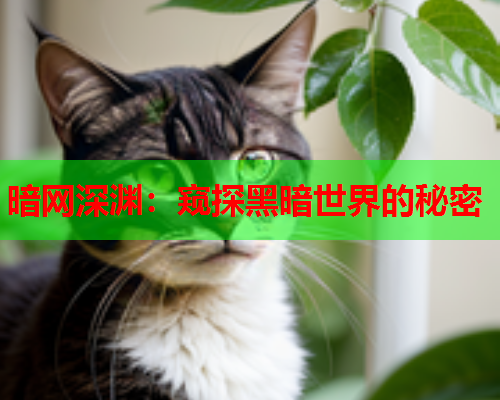 暗网深渊：窥探黑暗世界的秘密