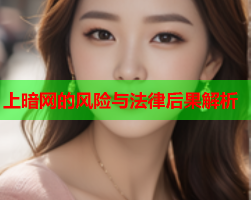 上暗网的风险与法律后果解析
