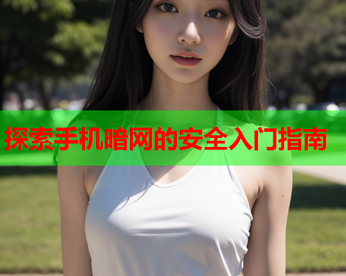 探索手机暗网的安全入门指南