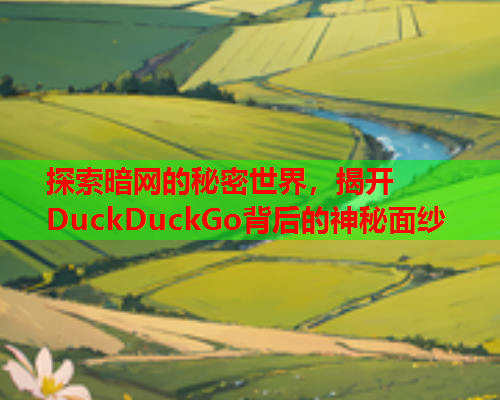 探索暗网的秘密世界，揭开DuckDuckGo背后的神秘面纱