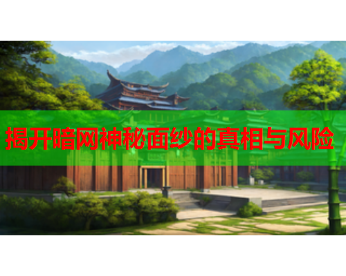 揭开暗网神秘面纱的真相与风险