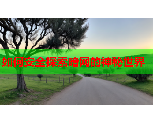 如何安全探索暗网的神秘世界