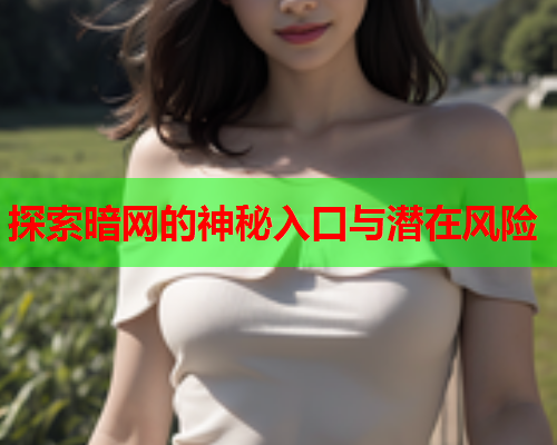 探索暗网的神秘入口与潜在风险