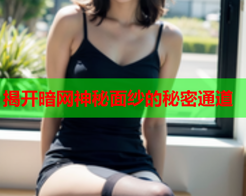 揭开暗网神秘面纱的秘密通道