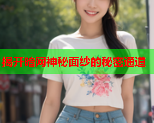 揭开暗网神秘面纱的秘密通道