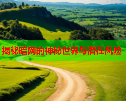 揭秘暗网的神秘世界与潜在风险
