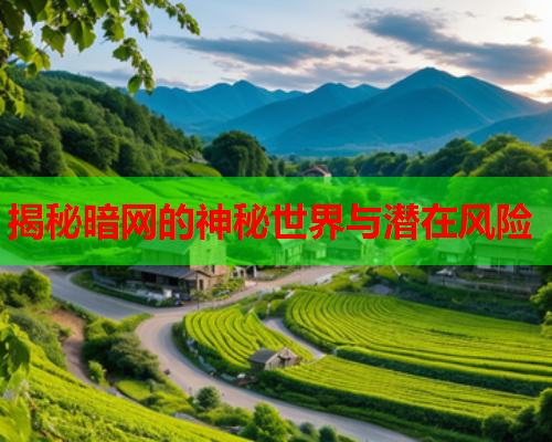 揭秘暗网的神秘世界与潜在风险