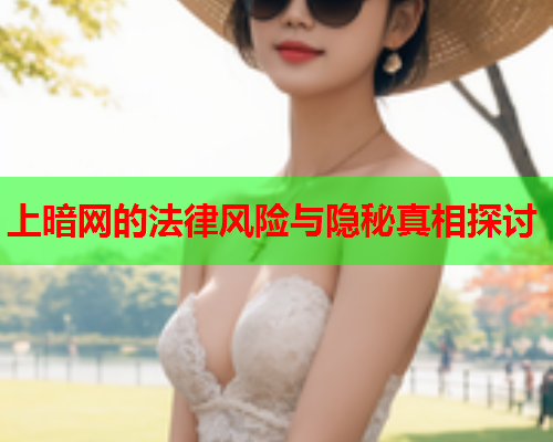 上暗网的法律风险与隐秘真相探讨