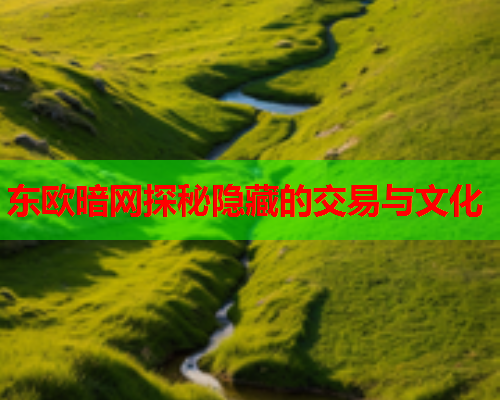 东欧暗网探秘隐藏的交易与文化