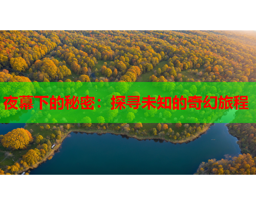 夜幕下的秘密：探寻未知的奇幻旅程