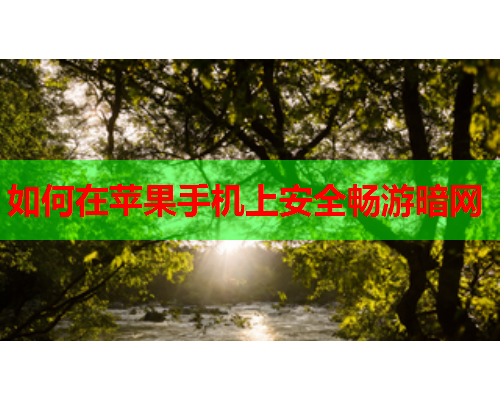 如何在苹果手机上安全畅游暗网