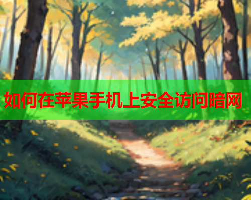 如何在苹果手机上安全访问暗网