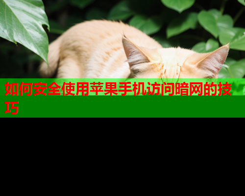 如何安全使用苹果手机访问暗网的技巧